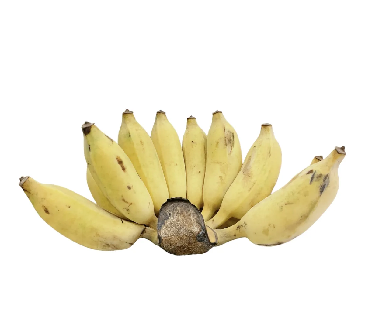 Chuối xiêm đông lạnh (túi 1kg)