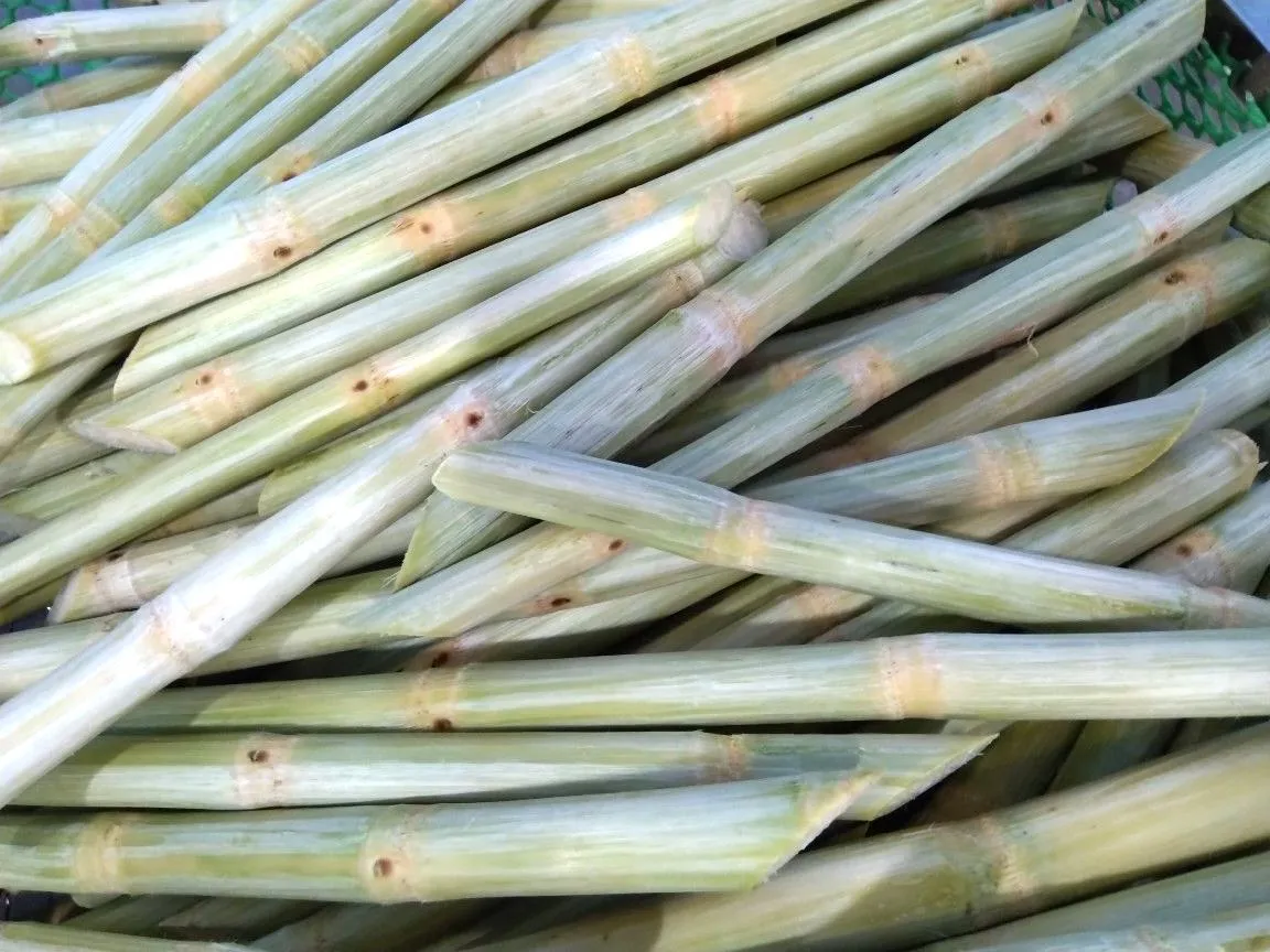Mía xanh đông lạnh (thùng 10kg)