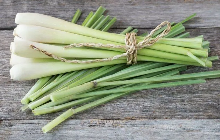 Sả (túi 1kg)