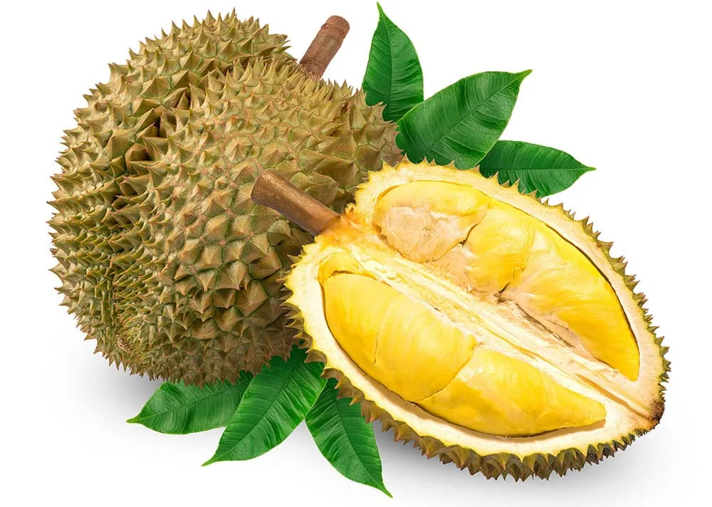 Sầu riêng trái đông lạnh (thùng 10kg, 3 trái)