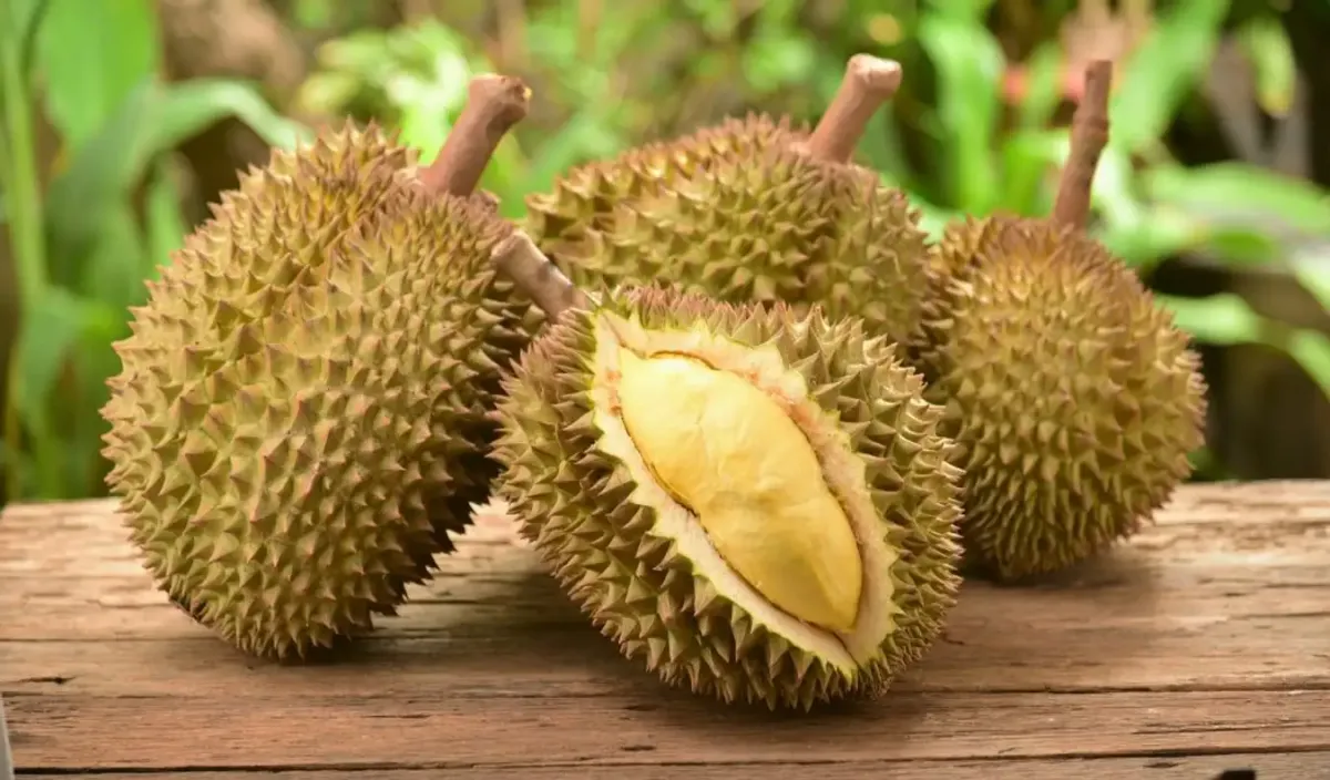 Sầu riêng vỉ đông lạnh (vỉ 400g)