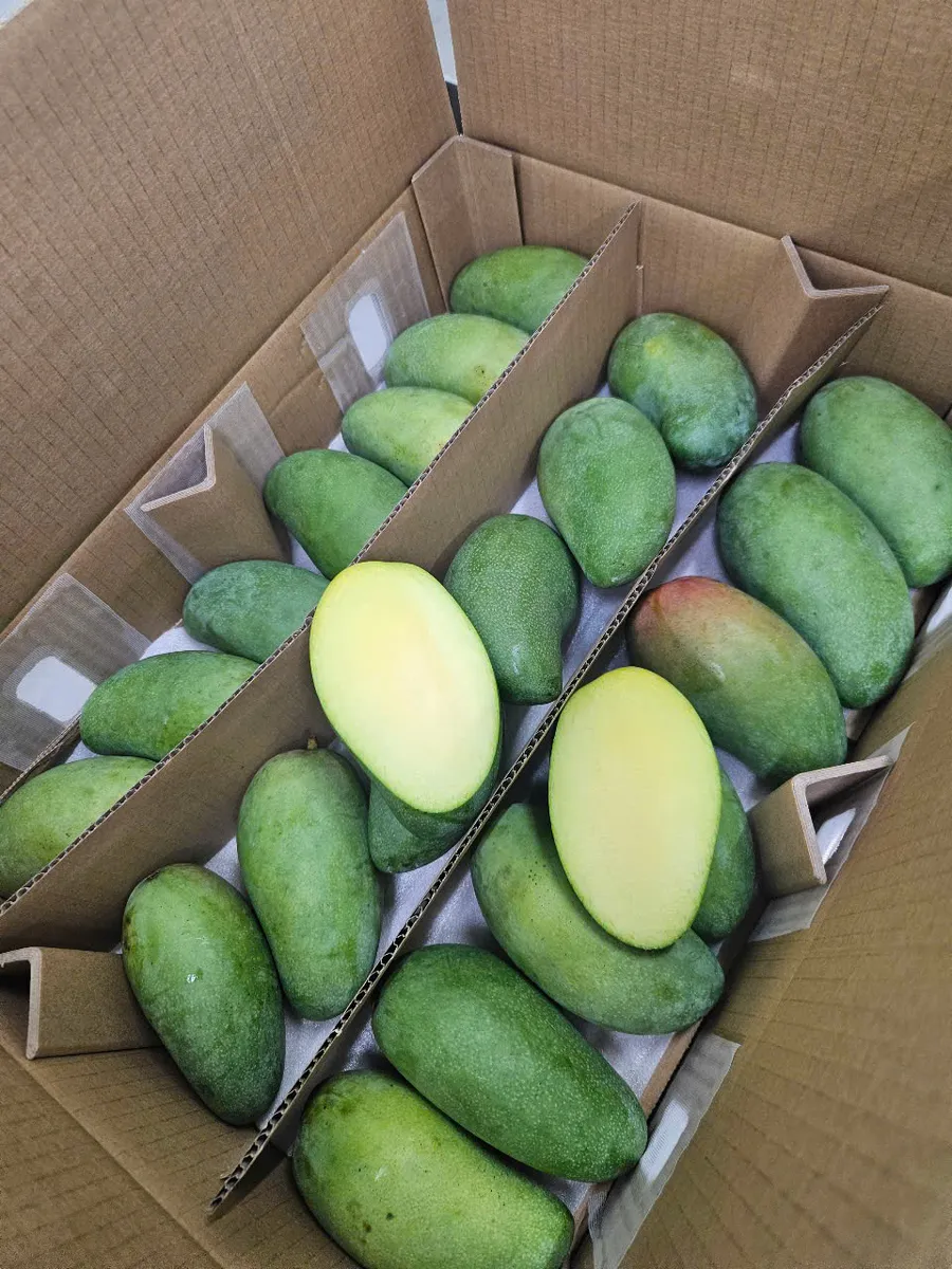 Xoài lép (hộp 5kg)