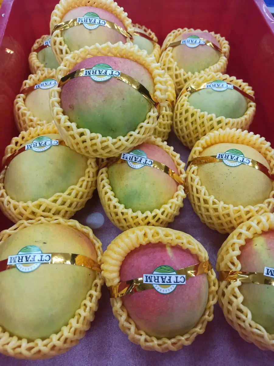 Xoài cát (hộp 5kg)